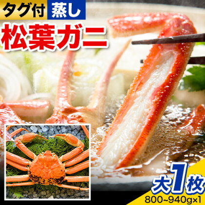 【先行予約】【蒸し】タグ付き松葉ガニ 大1枚(800～940g) 高間商店《11月上旬-3月下旬頃出荷》鳥取県 八頭町 送料無料 カニ 蟹 松葉ガニ タグ付き ブランド