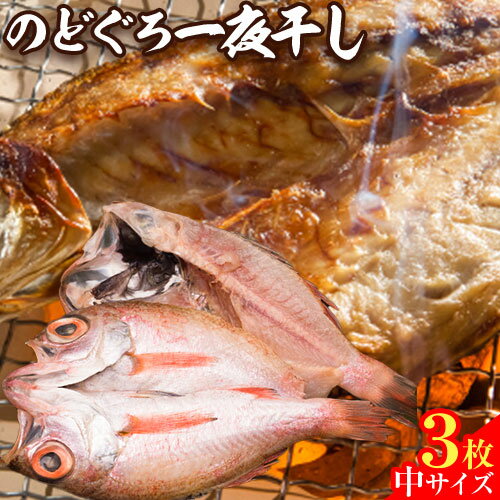 【ふるさと納税】のどぐろ 干物 一夜干し 中サイズ3枚 高間商店《90日以内に順次出荷(土日祝除く)》鳥取県 八頭町 のどぐろ 送料無料のサムネイル