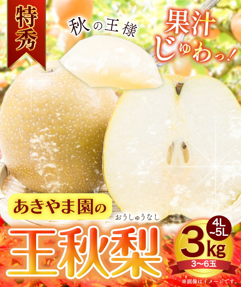 【ふるさと納税】梨 王秋梨 (特秀) 3kg 4L〜5Lサイズ 3〜6玉入り あきやま園 《2025年11月上旬〜2026年1月中旬末頃より出荷予定》鳥取県 八頭町 送料無料 なし フルーツ 果物 旬 梨 お取り寄せフルーツ