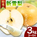 商品情報 新雪梨(特秀) 名称 梨 内容量 約3kg(3～5玉入り) 賞味期限 できるだけお早めにお召し上がりください。 配送方法 常温便でお届けします。 提供元 あきやま園 ・ふるさと納税よくある質問はこちら ・寄附申込みのキャンセル、返礼品の変更・返品はできません。あらかじめご了承ください。寄附金の用途について 「ふるさと納税」寄附金は、下記の事業を推進する資金として活用してまいります。寄附を希望される皆さまの想いでお選びください。 [1]生活安全に関する事業 [2]健康・福祉に関する事業 [3]コミュニテイに関する事業 [4]環境保全に関する事業 [5]農林水産業に関する事業 [6]商工業に関する事業 [7]教育・文化に関する事業 [8]鉄道・バス等の公共交通に関する事業 [9]観光・交流に関する事業 [10]その他町長が必要と認める特定の事業