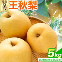 梨 王秋梨 ( 特秀 ) 5kg こおげフレンドセンター 《11月中旬-12月上旬頃出荷》 鳥取県 八頭町 フルーツ 果物 なし 送料無料