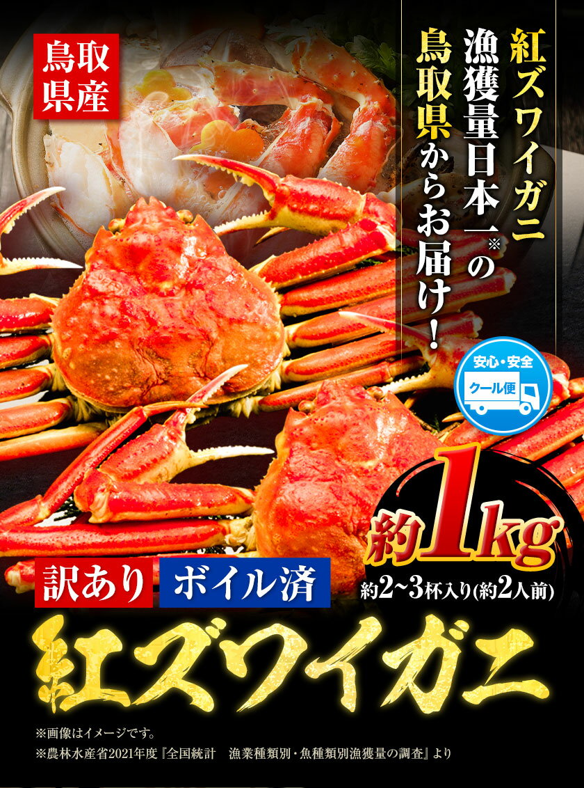 【ふるさと納税】 紅ズワイガニ　訳あり カニ 紅 ズワイガニ　ふるさと納税 1kg 2～3杯分《選べる 出荷時期》鳥取県 八頭町 送料無料 蟹 かに 姿 鍋 ズワイガニ ベニズワイガニ ズワイ蟹 ボイル 冷凍便