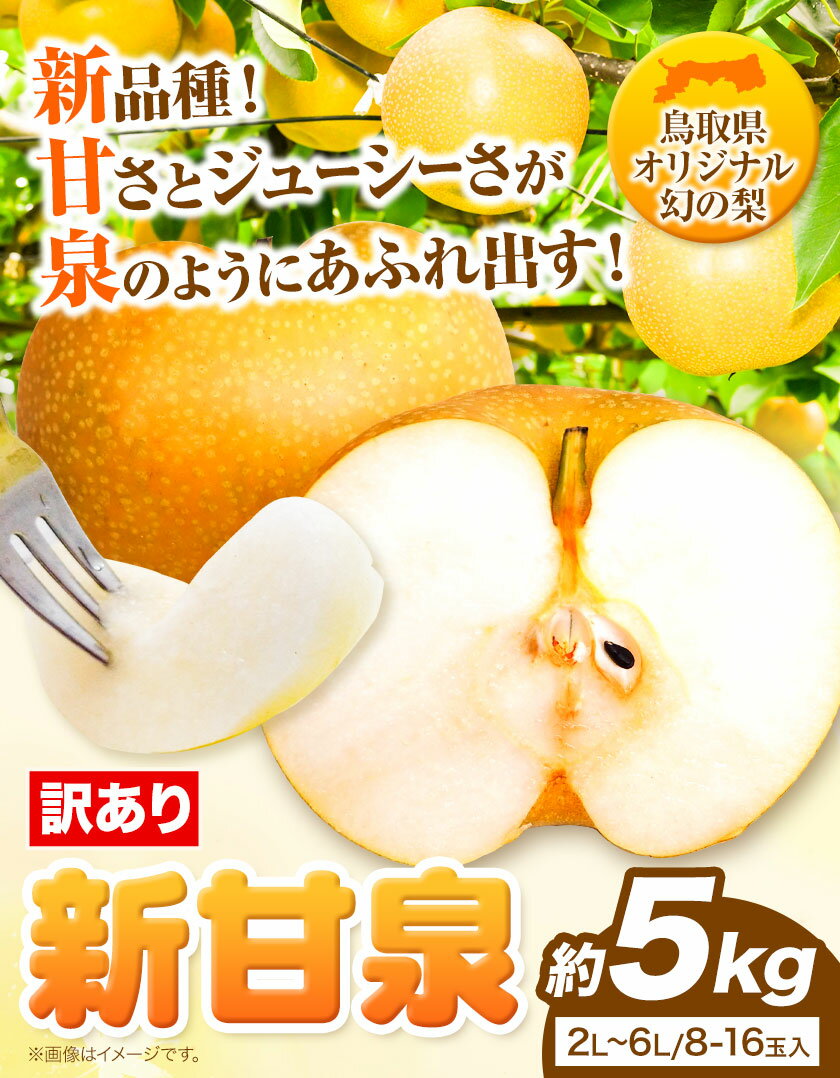 【ふるさと納税】【訳あり】先行予約 新甘泉 約5kg (8~16玉) 2L~6Lサイズ《2024年8月下旬から10月上旬頃出荷》新甘泉 梨 訳あり ご家庭用 鳥取県 八頭町 なし 果物 フルーツ 特産品 送料無料 果汁 デザート 八頭