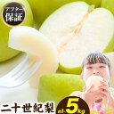 【ふるさと納税】【2026年先行予約】家庭用 梨 なし 二十世紀梨 選べる 約1kg (2~5玉) 約3kg (6~15玉) 約5kg (10~25玉) 《20...