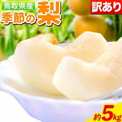 【ふるさと納税】【訳あり】先行予約 【ご家庭用】季節の梨セット 約5kg (8~20玉) 旬の品種を1品種お...