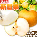 【ふるさと納税】【訳あり】先行予約 新甘泉 約5kg (8~