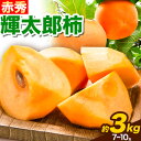 輝太郎柿 3kg 7～10玉 《10月上旬-10月末頃より出荷予定》JA鳥取いなば 鳥取県 八頭町 柿 かき カキ くだもの くだもの 果物 青果物 フルーツ