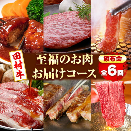 【定期便全6回】田村牛 至福のお肉お届けコース 全6回 牛肉 すきやき しゃぶしゃぶ カルビ ハンバーグ ロースステーキ モモステーキ《2月上旬‐8月中旬頃出荷予定》 八頭町観光協会 肉のたむら 鳥取県 八頭町 送料無料