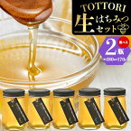 【ふるさと納税】蜂蜜 生はちみつ 糖度80度以上 TOTTORI生はちみつセット ビン 170g×2本 or 480g×2本《90日以内に出荷予定(土日祝除く)》大谷養蜂場 鳥取県 八頭町 非加熱 無添加 完熟 安全 健康 TOTTORI HACHIMITSU