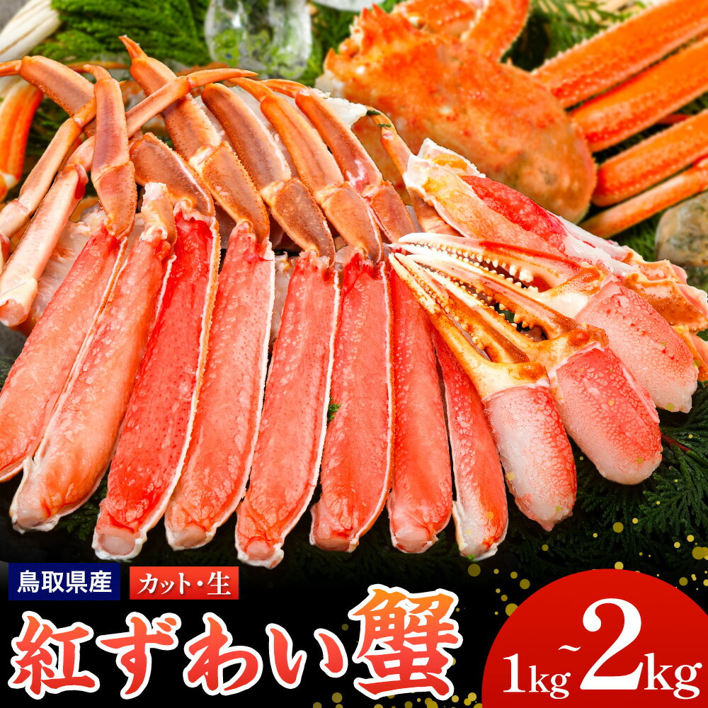 蟹 生 紅ズワイガニ 蟹セレブ 選べる内容量 1kg 1.5kg 2kg giverichホールディングス[10月上旬-3月下旬頃出荷]鳥取県 八頭町 蟹 かに カニ 紅ズワイガニ 紅ズワイ 送料無料