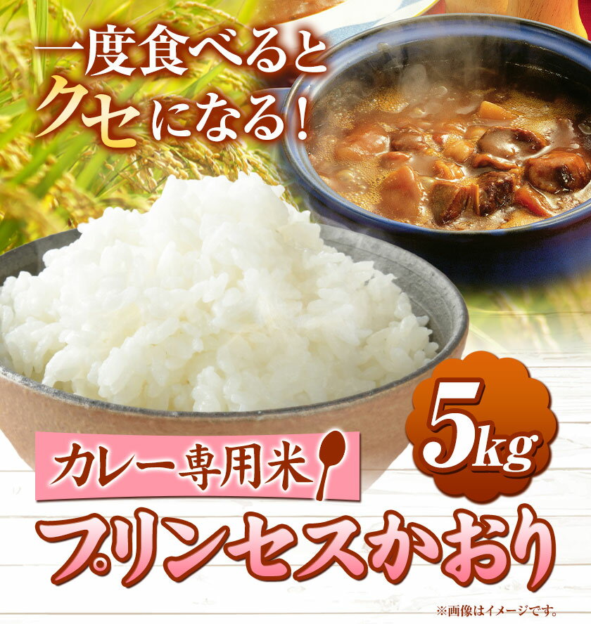 【ふるさと納税】カレー専用米 プリンセスかおり 5kg 有限会社 田中農場《90日以内に出荷予定(土日祝除く)》鳥取県 八頭町 米 お米 ご飯 カレー 送料無料