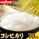 1位! 口コミ数「0件」評価「0」特別栽培米 コシヒカリ 10kg（5kg×2袋）有限会社 田中農場《90日以内に出荷予定(土日祝除く)》鳥取県 八頭町 米 お米 ご飯 送料･･･ 