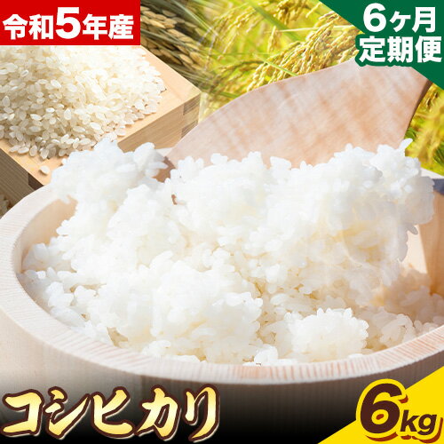 11位! 口コミ数「0件」評価「0」【6ヶ月定期便】“土づくりの恵み” つやっつやの特別栽培米お届け 6ヶ月コース 特別栽培米 コシヒカリ 2kg×3袋 有限会社 田中農場《ご･･･ 