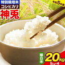 2位! 口コミ数「0件」評価「0」令和5年産 米 20kg コシヒカリ 20キロ (5kg×4袋) 白米 神兎 特別栽培米コシヒカリ 八頭米ブランド化推進協会 《90日以内に･･･ 