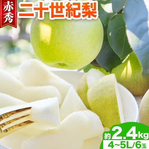 【ふるさと納税】 梨 二十世紀梨 赤秀 4L〜5Lサイズ 2.4kg (6玉入り) やずふれあい市場 《9月上旬-9月末頃より出荷予定》 鳥取県 八頭町 送料無料 なし 二十世紀 果物 フルーツ お取り寄せフルーツ