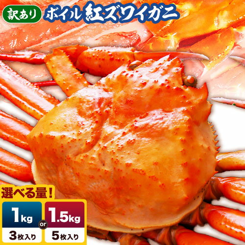 【訳あり】鳥取県産 ボイル紅ズワイガニ 選べる 内容量 1kgセット(3枚入り) 1.5kgセット(5枚入り)【配送不可地域あり】 さんチョク《9月中旬から7月中旬頃出荷》鳥取県 八頭町 蟹 かに カニ 鍋 紅ズワイガニ ズワイ蟹 ボイル 送料無料