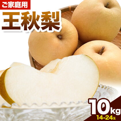 ご家庭用 梨 王秋梨 10kg 14玉 ～ 24玉 さんチョク《11月上旬-11月末頃出荷》鳥取県 八頭町 なし フルーツ 果物 旬 特産品 訳あり 傷