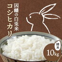 【ふるさと納税】因幡の白兎米 コシヒカリ 令和7年度産 精米済 10kg(5kg×2袋)さんチョク《9月中旬-10月末出荷》鳥取県 八頭町 米 お米 白米 ご飯
