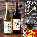 【ふるさと納税】ワイン 八頭ワイン 甲斐ノワール 赤 モンドブリエ 白 各750ml 2本セット 飲み比べ 田中ぶどう園《90日以内に出荷予定(土日祝除く)》鳥...