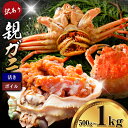 【ふるさと納税】カニ 親ガニ 訳あり 500g 1000g 1kg ボイル or 活き 5杯 10杯 《12月上旬-12月末頃出荷》 SOO合同会社 鳥取県 八...