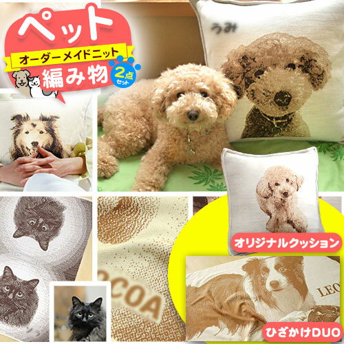 【ふるさと納税】ペットオーダーメイドニット あみもの2点セット 有限会社 三浅あみものセンター 《90日以内に出荷予定(土日祝除く)》鳥取県 八頭町 思い出 オ...