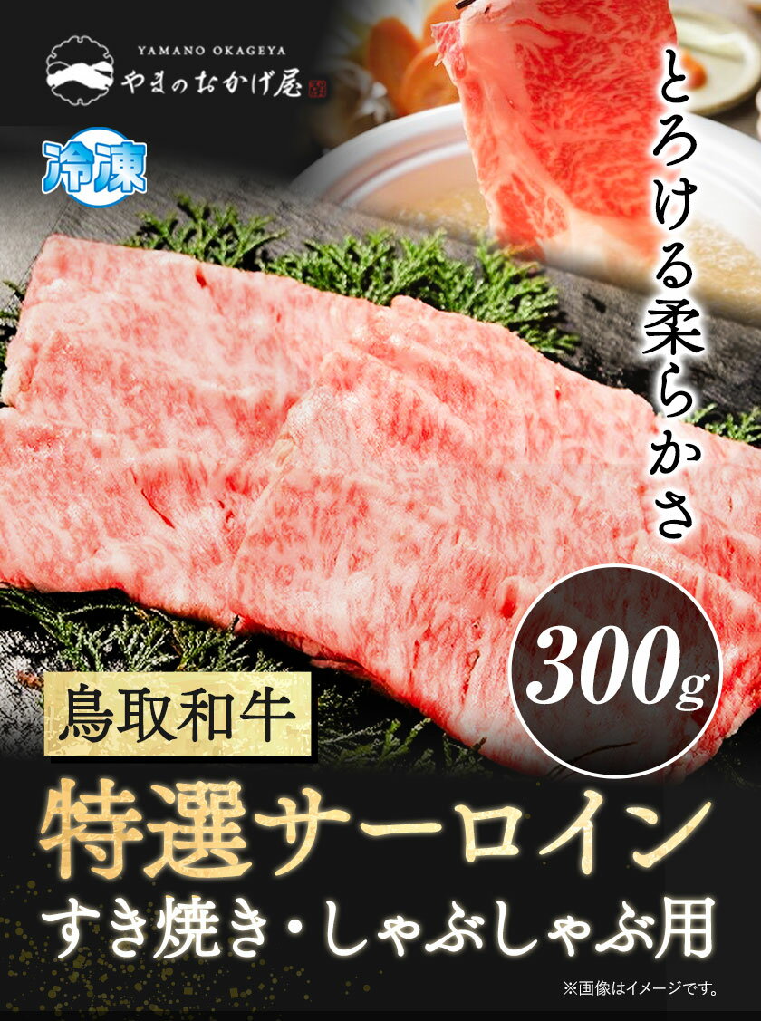 【ふるさと納税】 東藻琴牛赤身あじわいセット ふるさと納税 牛肉 牛 肉 すき焼き カレー ソース 料理 セット 詰合せ 北海道 大空町 送料無料 OSM001
