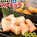 【ふるさと納税】鳥取県産牛 マルチョウ 600g やまのおかげ屋《90日以内に出荷予定(土日祝除く)》鳥取県 八頭町 和牛 小腸 おつまみ ホルモン