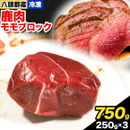 【ふるさと納税】八頭郡産鹿肉 モモブロック 750g 250g × 3パック やまのおかげ屋《90日以内に出荷予定(土日祝除く)》鳥取県 八頭町 鹿肉 ジビエ モモ ブロック肉 八頭郡産 シカ 鹿