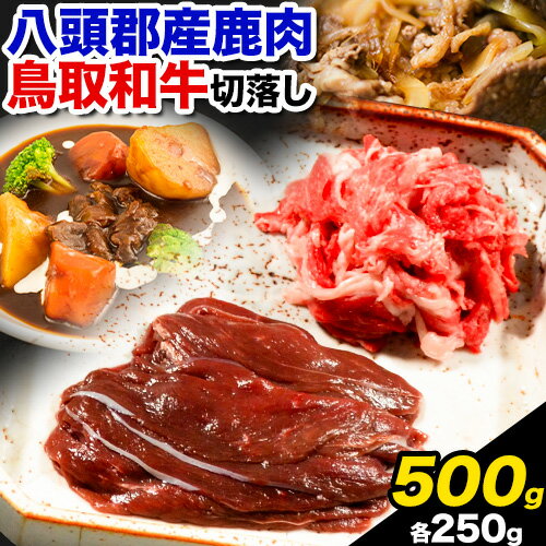 【ふるさと納税】八頭郡産 鹿肉 鳥取和牛 切り落としセット 500g 250g × 2パック やまのおかげ屋《90日..