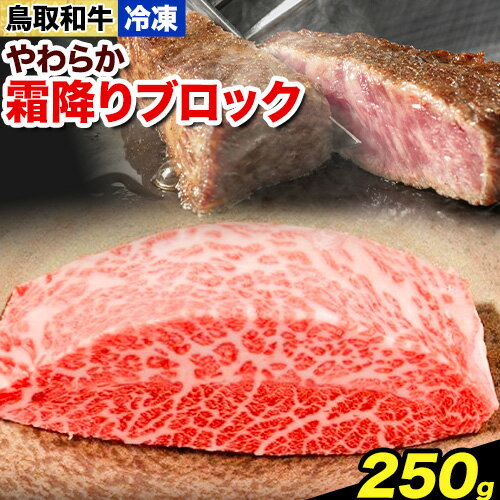 【ふるさと納税】鳥取和牛 やわらか霜降りブロック 250g やまのおかげ屋《90日以内に出荷予定(土日祝除く)》鳥取県 八頭町 和牛 ブロック肉 ステーキ 送料無料 牛肉 肉 牛