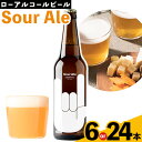 【ふるさと納税】CIRAFFITI Sour Ale 選べる本数 6本セット 24本セット 《30日以内に出荷予定(土日祝除く)》鳥取県 八頭町 送料無料 ビール クラフト ローアルコール