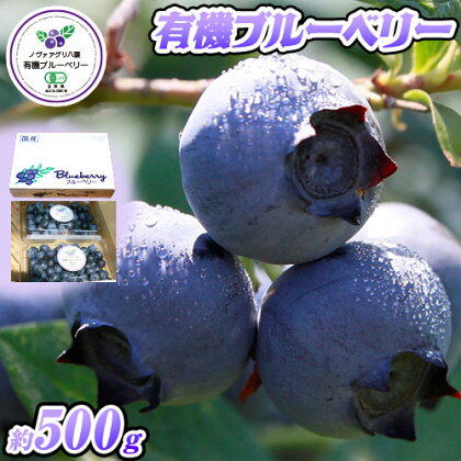 有機ブルーベリー 500g 完熟 ブルーベリー ノヴァアグリ八頭《6月中旬-8月上旬頃出荷予定》鳥取県 八頭町 果実 果物 スイーツ フルーツ