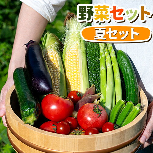 [2026年先行予約] 野菜セット 夏 八頭船岡農場[2026年8月上旬-9月中旬頃出荷]鳥取県 八頭町 黒なす 緑なす ピーマン ジャガイモ