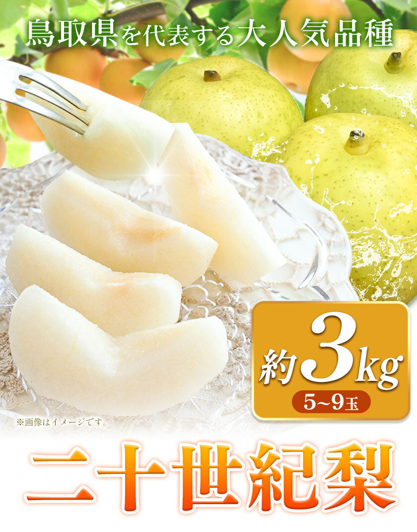 【ふるさと納税】【2026年先行予約】 梨 二十世紀梨 約3kg (5〜9玉入り) 旬菜まるや 《2026年9月中旬-10月上旬頃出荷》 鳥取県 八頭町 送料無料 なし 二十世紀 果物 フルーツ お取り寄せ 3kg