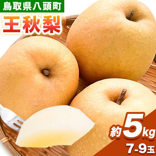 [先行予約] 梨 王秋梨 約5kg (7〜9玉入り) 旬菜まるや [2025年11月中旬〜2026年1月中旬頃出荷] 鳥取県 八頭町 送料無料 なし 果物 フルーツ お取り寄せ 5kg