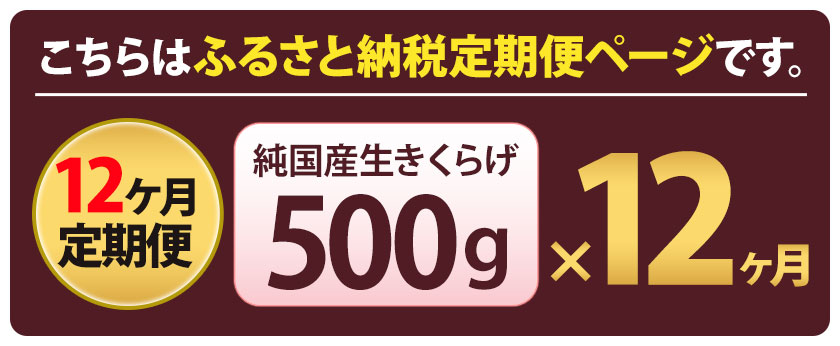 【ふるさと納税】12ヶ月定期コース 純国産生きくらげ 株式会社ダブルノット《入金確認月の1ヶ月後から発送開始》鳥取県 八頭町 きくらげ 生きくらげ ちゃんぽん 国産 中華料理 サラダ みそ汁