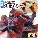 商品情報 純国産生きくらげ 名称 きくらげ 内容量 500g 賞味期限 発送日から約1週間 保存方法 冷蔵庫または冷凍庫内で保存してください。 配送方法 冷蔵便でお届けします。 提供元 株式会社 ダブルノット ・ふるさと納税よくある質問はこちら ・寄附申込みのキャンセル、返礼品の変更・返品はできません。あらかじめご了承ください。寄附金の用途について 「ふるさと納税」寄附金は、下記の事業を推進する資金として活用してまいります。寄附を希望される皆さまの想いでお選びください。 [1]生活安全に関する事業 [2]健康・福祉に関する事業 [3]コミュニテイに関する事業 [4]環境保全に関する事業 [5]農林水産業に関する事業 [6]商工業に関する事業 [7]教育・文化に関する事業 [8]鉄道・バス等の公共交通に関する事業 [9]観光・交流に関する事業 [10]その他町長が必要と認める特定の事業