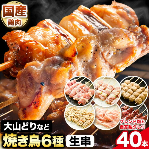 大山どり もも串 など 人気 焼き鳥 串 40本 セット 生串 [90日以内に出荷予定(土日祝除く)] 株式会社ダブルノット 鳥取県 八頭町 焼き鳥 肉 鶏 鶏肉 もも ねぎま つくね もも やげんなんこつ レバー 塩 たれ