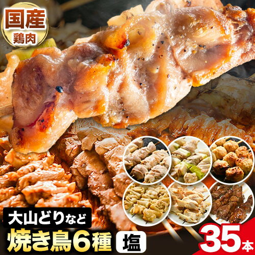 大山どりもも串など人気焼き鳥串35本セット（塩）6種 株式会社ダブルノット《90日以内に発送予定(土日祝除く)》鳥取県 八頭町 もも串 ねぎま つくね串 かわ串 やげんなんこつ串 レバー 国産