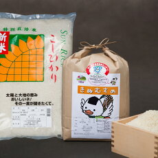 【ふるさと納税】米 こしひかり5kg・きぬむすめ5kg