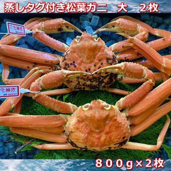 松葉ガニ 【ふるさと納税】【先行予約】蒸しタグ付き松葉ガニ　大　2枚　1枚800～940g前後MK2 | 蟹 魚介類 水産 食品 人気 おすすめ 送料無料