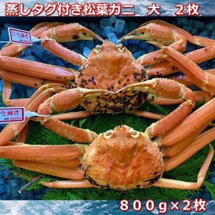 【先行予約】蒸しタグ付き松葉ガニ　大　2枚　1枚800～940g前後MK2 | 蟹 魚介類 水産 食品 人気 おすすめ 送料無料