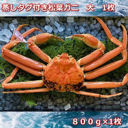 【先行予約】蒸しタグ付き松葉ガニ　大　1枚　800～940g前後MK6 | 蟹 魚介類 水産 食品 人気 おすすめ 送料無料