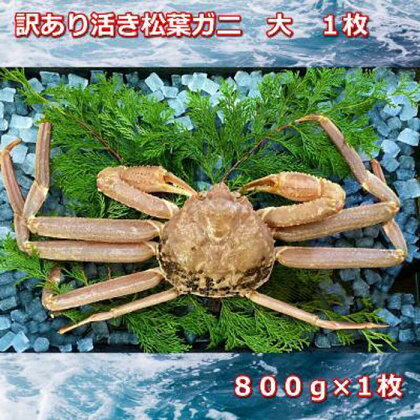 【先行予約】訳あり活きご自宅用松葉ガニ　大　1枚　800～940g前後MK11 | 蟹 魚介類 水産 食品 人気 おすすめ 送料無料