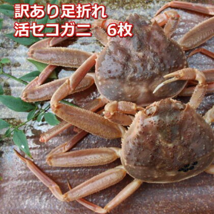 【先行予約】活き訳あり足折れご自宅用　日本海産親ガニセコガ二6枚MK17 | 蟹 魚介類 水産 食品 人気 おすすめ 送料無料