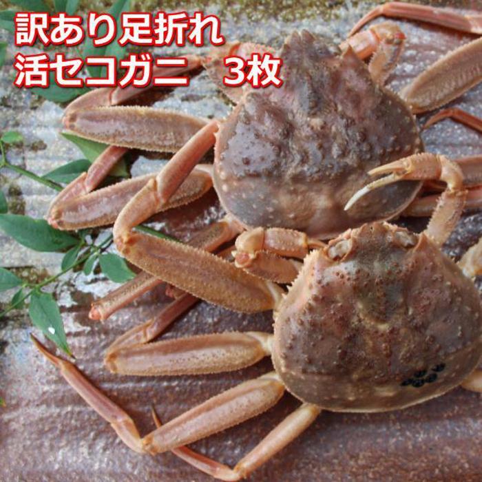 【先行予約】活き訳あり足折れご自宅用　日本海産親ガニセコガ二　3枚MK19 | 蟹 魚介類 水産 食品 人気 おすすめ 送料無料