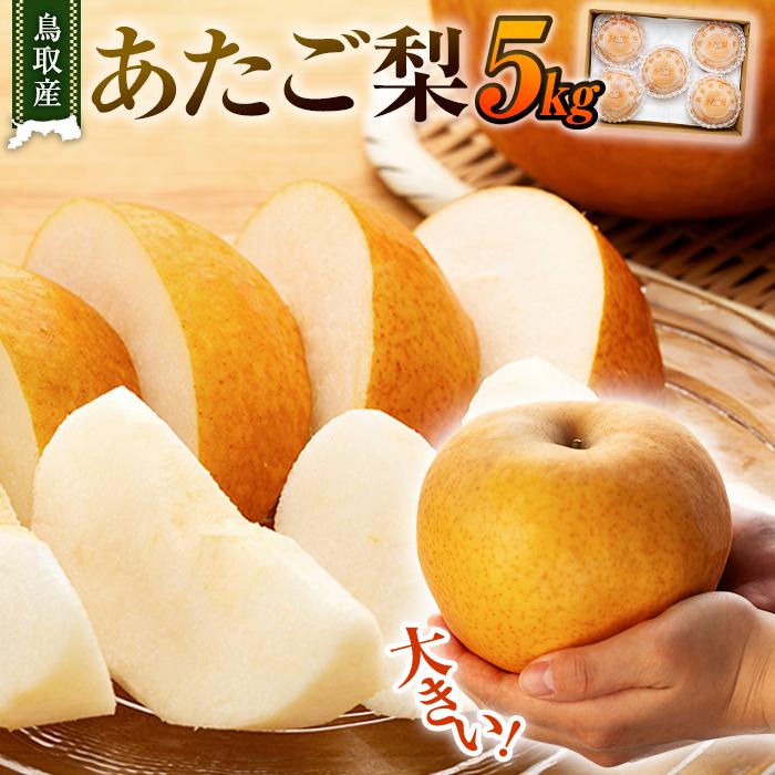 1位! 口コミ数「7件」評価「4.43」【先行予約】梨 あたご梨 鳥取産 5kg ( 5kg × 1箱 ) | フルーツ 果物 くだもの 食品 人気 おすすめ 送料無料