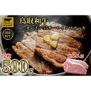 【ふるさと納税】鳥取和牛オレイン55 サーロインステーキ 2枚(500g)1288 | 肉 お肉 にく 食品 鳥取県産 人気 おすすめ 送料無料 ギフト