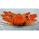 【ふるさと納税】【先行予約】カニ 松葉ガニ ボイル カニ酢付き ( 2枚 ) | 蟹 魚介類 水産 食品 人気 おすすめ 送料無料