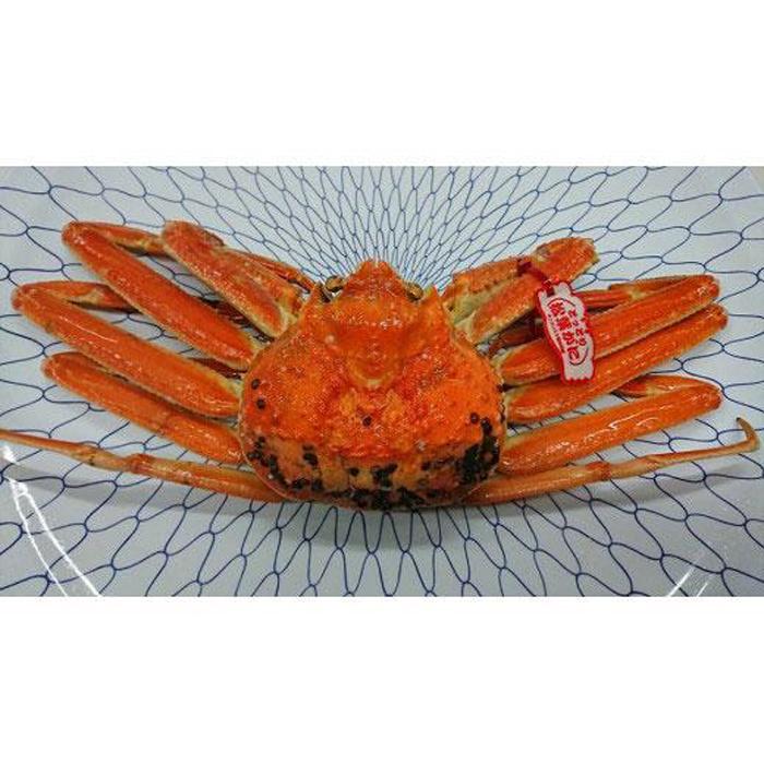 [先行予約]カニ 松葉ガニ ボイル カニ酢付き ( 1枚 ) | 蟹 魚介類 水産 食品 人気 おすすめ 送料無料